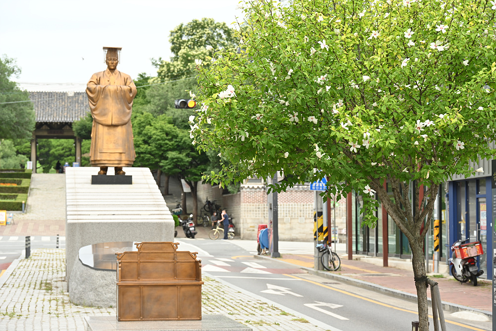 KJT-A015.jpg