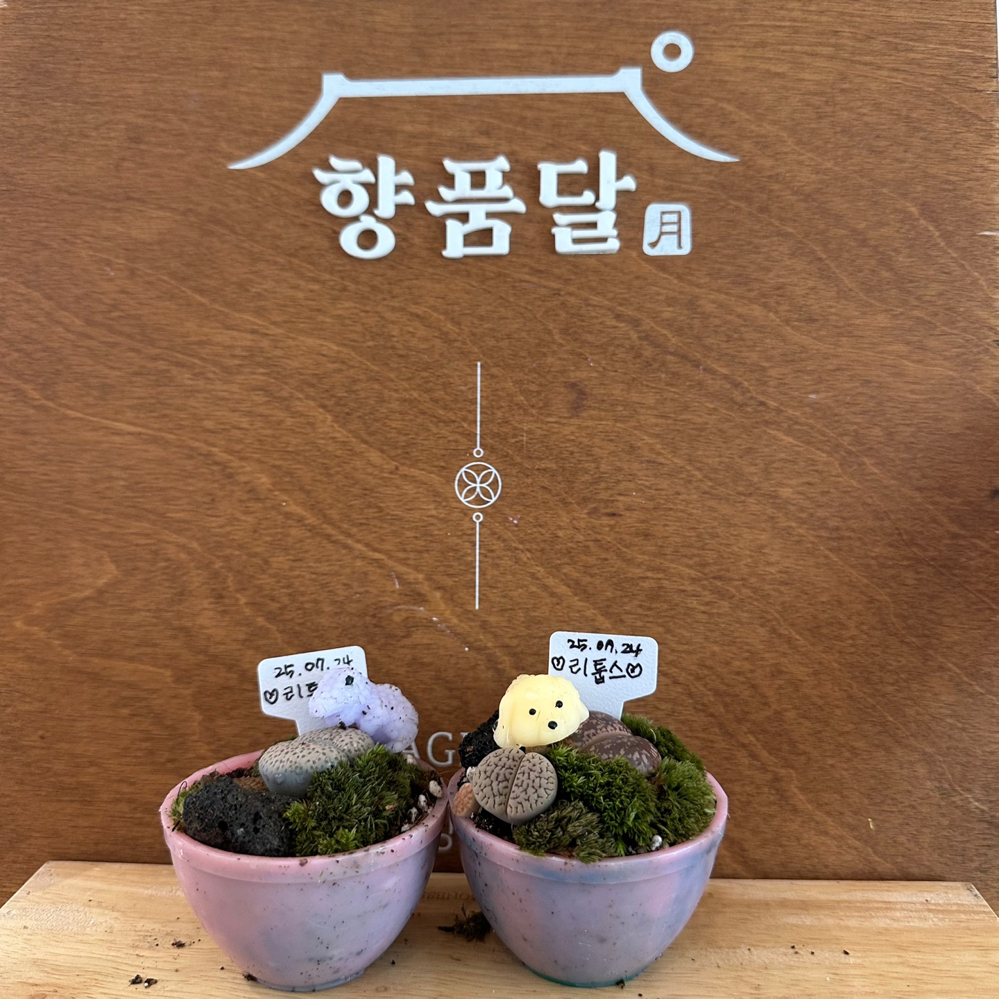 25.07.24_업사이클 원예 (8).jpg